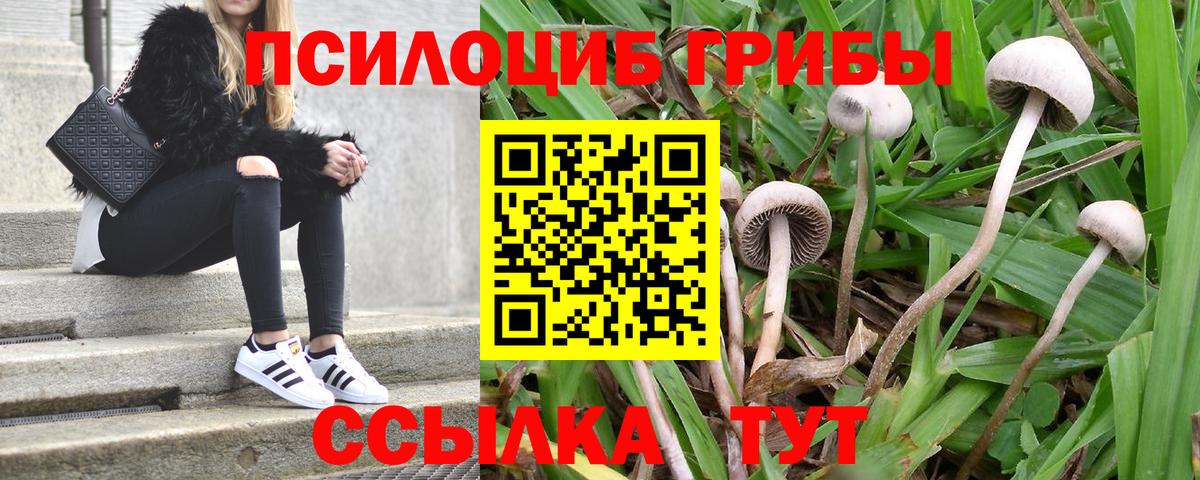 Метадон Сарапул