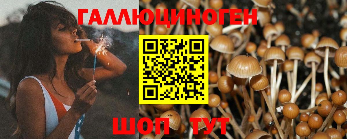 Галлюциногенные грибы MAGIC MUSHROOMS  Галлюциногенные грибы мухоморы  Сарапул  Вход с VPN 